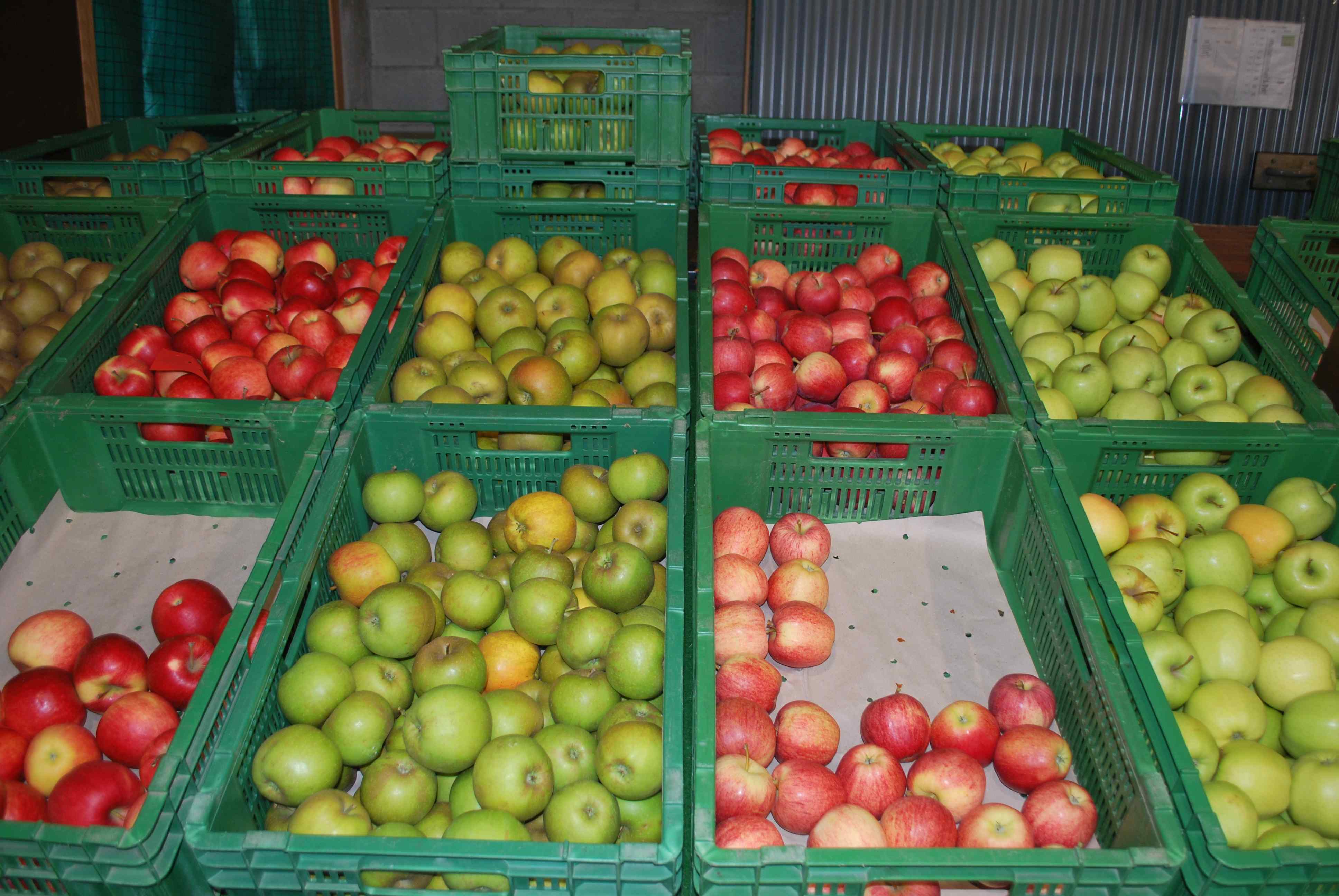 Switzerland Antique Apples At Les Vergers D Aigle Et D Yvorne A The 